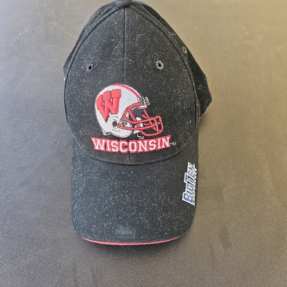 Wisconsin Badgers Big Ten Insignia Hat